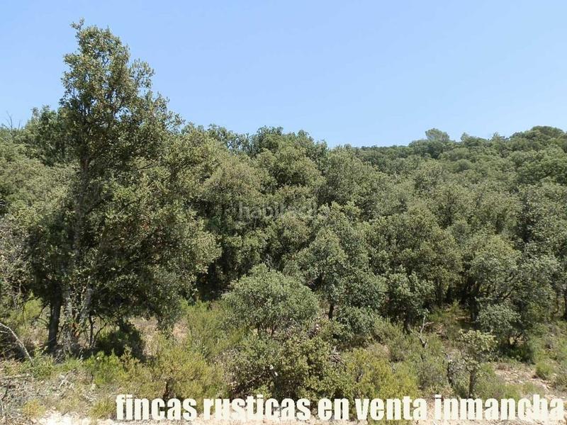Foto 8520a3ff-d54e-430e-9079-6272cc9688da. Finca rústica finca en venta 118 has. recreo a 130 km. de madrid en guadalajara en Alcocer Foto 8520a3ff-d54e-430e-9079-6272cc9688da. Finca rústica finca en venta 118 has. recreo a 130 km. de madrid en guadalajara en Alcocer