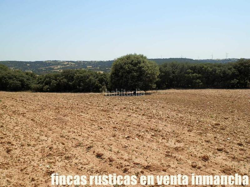 Foto a21826ba-522d-4a98-b090-9867f04f381c. Finca rústica finca en venta 118 has. recreo a 130 km. de madrid en guadalajara en Alcocer Foto a21826ba-522d-4a98-b090-9867f04f381c. Finca rústica finca en venta 118 has. recreo a 130 km. de madrid en guadalajara en Alcocer