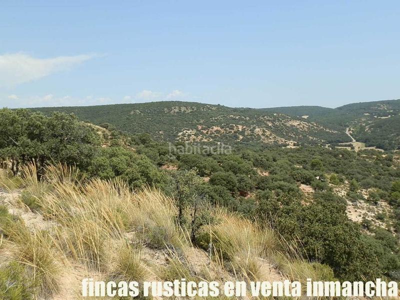 Foto a72f422f-3624-499d-9f44-c3b4eab1d827. Finca rústica finca en venta 118 has. recreo a 130 km. de madrid en guadalajara en Alcocer Foto a72f422f-3624-499d-9f44-c3b4eab1d827. Finca rústica finca en venta 118 has. recreo a 130 km. de madrid en guadalajara en Alcocer