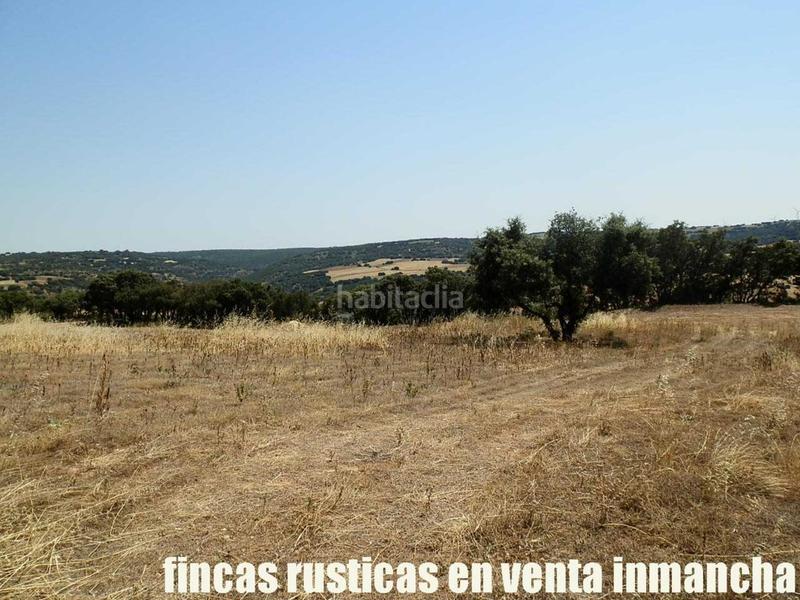Foto b5f31c90-f9bc-45ec-b8f2-1be8ccea1ba4. Finca rústica finca en venta 118 has. recreo a 130 km. de madrid en guadalajara en Alcocer Foto b5f31c90-f9bc-45ec-b8f2-1be8ccea1ba4. Finca rústica finca en venta 118 has. recreo a 130 km. de madrid en guadalajara en Alcocer