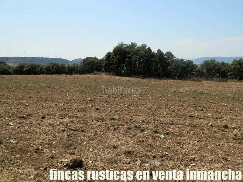 Foto bf117a50-21e7-4c4c-845b-2bd9e3ecbb73. Finca rústica finca en venta 118 has. recreo a 130 km. de madrid en guadalajara en Alcocer Foto bf117a50-21e7-4c4c-845b-2bd9e3ecbb73. Finca rústica finca en venta 118 has. recreo a 130 km. de madrid en guadalajara en Alcocer