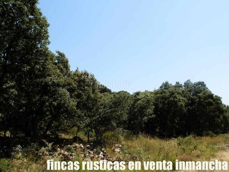 Foto c315aea1-0475-407b-9564-936c07e603f7. Finca rústica finca en venta 118 has. recreo a 130 km. de madrid en guadalajara en Alcocer Foto c315aea1-0475-407b-9564-936c07e603f7. Finca rústica finca en venta 118 has. recreo a 130 km. de madrid en guadalajara en Alcocer