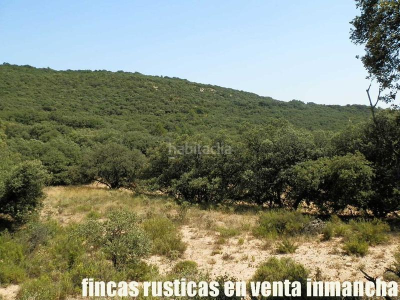 Foto d95c1c84-7a6d-4a71-8573-ec3a831431b5. Finca rústica finca en venta 118 has. recreo a 130 km. de madrid en guadalajara en Alcocer Foto d95c1c84-7a6d-4a71-8573-ec3a831431b5. Finca rústica finca en venta 118 has. recreo a 130 km. de madrid en guadalajara en Alcocer
