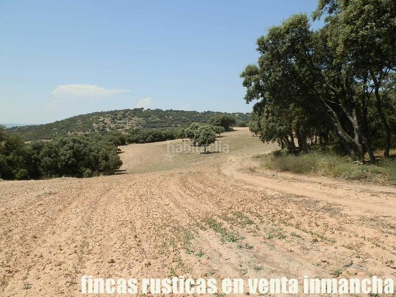 Foto f8e09631-68c9-48df-8481-20c7802f126a. Finca rústica finca en venta 118 has. recreo a 130 km. de madrid en guadalajara en Alcocer Foto f8e09631-68c9-48df-8481-20c7802f126a. Finca rústica finca en venta 118 has. recreo a 130 km. de madrid en guadalajara en Alcocer