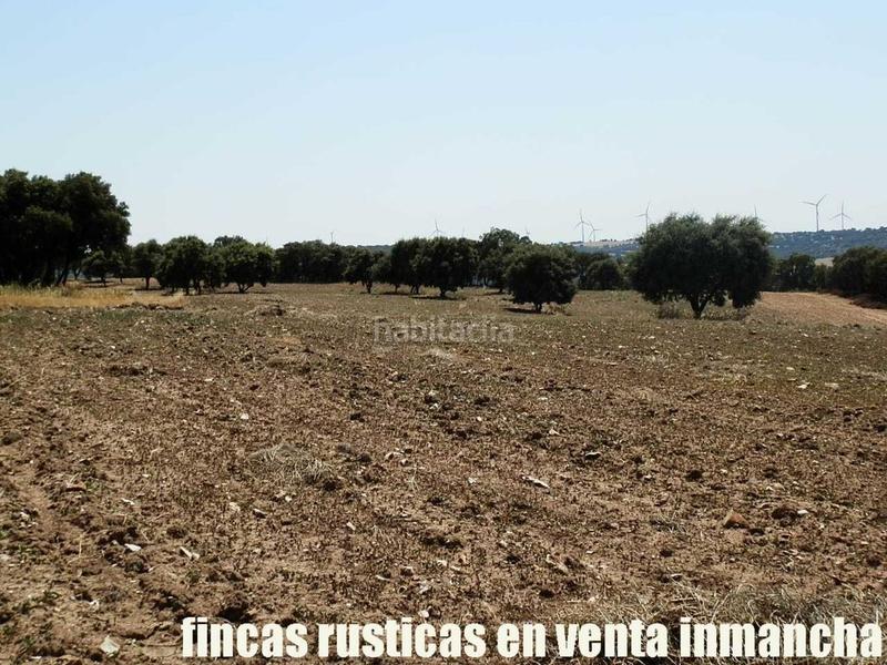 Foto fb9241e6-11dd-449d-b956-a98ea3cb7967. Finca rústica finca en venta 118 has. recreo a 130 km. de madrid en guadalajara en Alcocer Foto fb9241e6-11dd-449d-b956-a98ea3cb7967. Finca rústica finca en venta 118 has. recreo a 130 km. de madrid en guadalajara en Alcocer