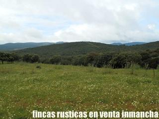 Finca rústica a Abenójar. Finca en venta 590 has. ganadera caza mayor en abenójar (c.real) Finca rústica a Abenójar. Finca en venta 590 has. ganadera caza mayor en abenójar (c.real)