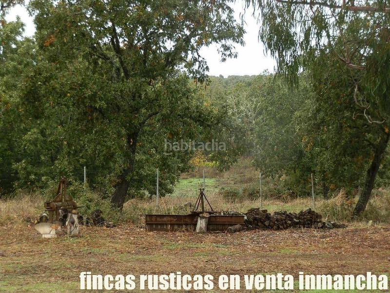 Foto 1e4e8df0-1c01-44e8-99f1-1e62d5fa0f74. Finca rústica a Abenójar Foto 1e4e8df0-1c01-44e8-99f1-1e62d5fa0f74. Finca rústica a Abenójar