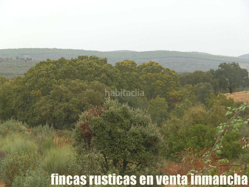 Foto 36d6eb8a-5678-4a28-a77f-97b148618bc3. Finca rústica a Abenójar Foto 36d6eb8a-5678-4a28-a77f-97b148618bc3. Finca rústica a Abenójar