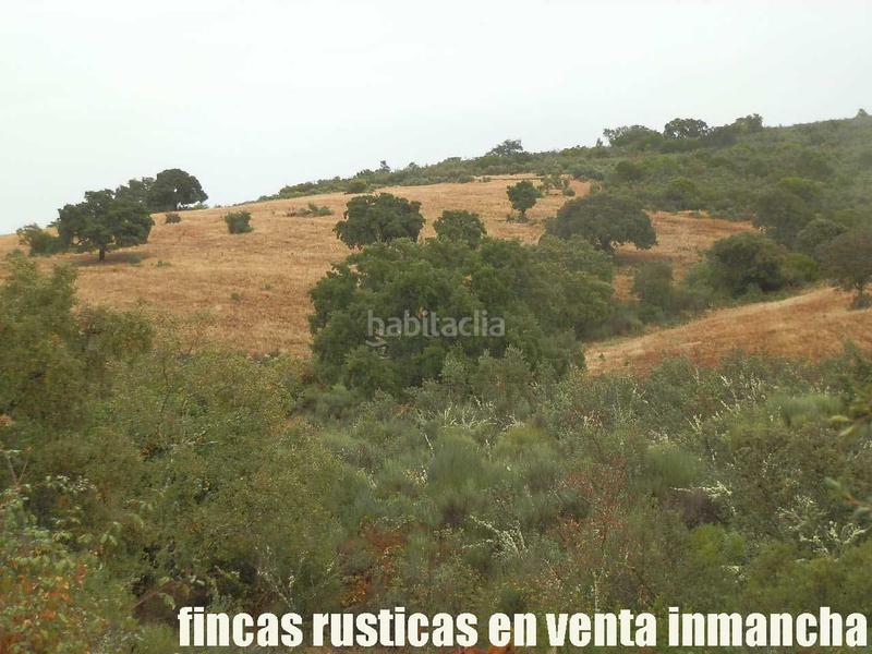 Foto 3dee22c2-dc67-4746-9e3a-8459336b264c. Finca rústica a Abenójar Foto 3dee22c2-dc67-4746-9e3a-8459336b264c. Finca rústica a Abenójar