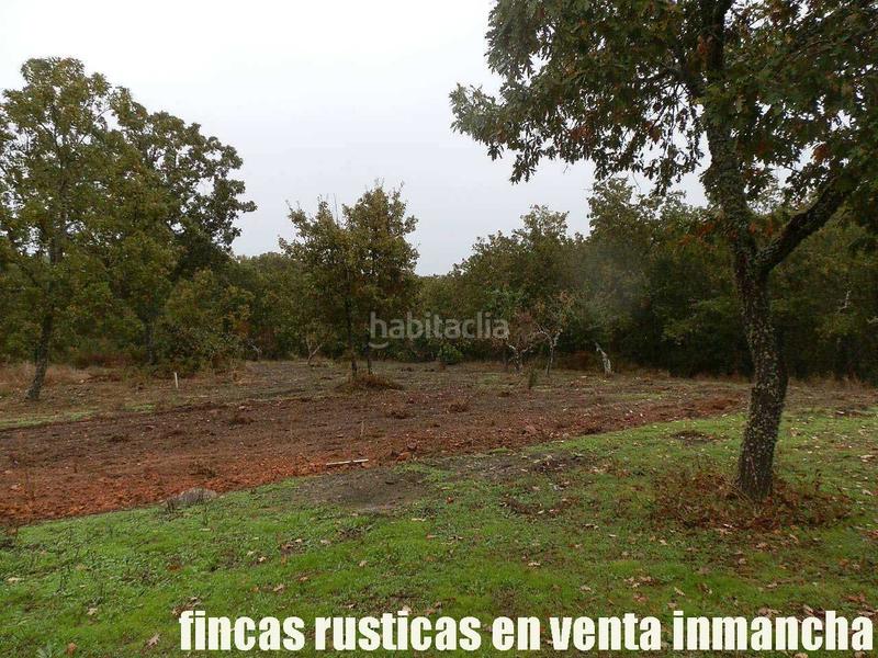 Foto 48eebfb2-395e-497c-8a4e-a4e2be9bf6e3. Finca rústica a Abenójar Foto 48eebfb2-395e-497c-8a4e-a4e2be9bf6e3. Finca rústica a Abenójar