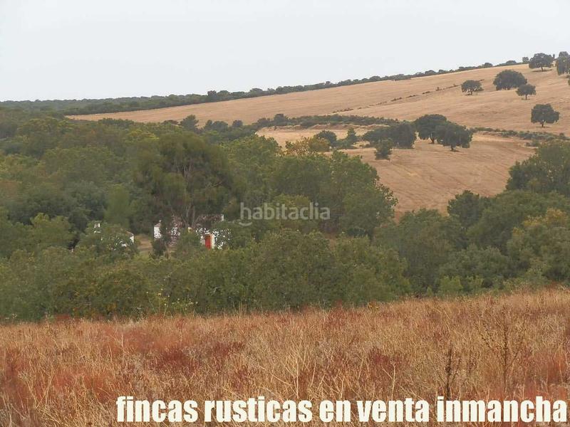 Foto 735058f6-25e5-47eb-8163-33d489abf004. Finca rústica a Abenójar Foto 735058f6-25e5-47eb-8163-33d489abf004. Finca rústica a Abenójar