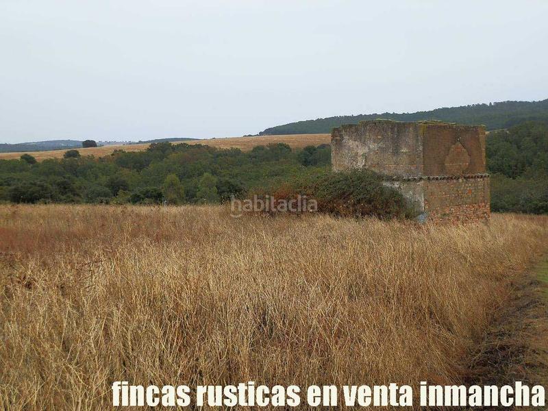 Foto 8377d50b-c171-4840-8299-976231ee80f9. Finca rústica a Abenójar Foto 8377d50b-c171-4840-8299-976231ee80f9. Finca rústica a Abenójar