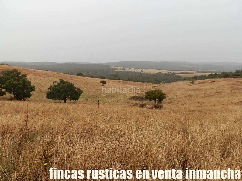 Foto c315dea5-7e57-40cf-9bdb-51f6e23e5da2. Finca rústica a Abenójar Foto c315dea5-7e57-40cf-9bdb-51f6e23e5da2. Finca rústica a Abenójar