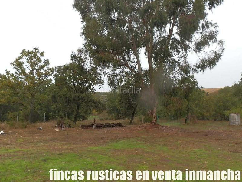 Foto cf1837cb-aea2-415e-b0f2-29cb88e96a29. Finca rústica a Abenójar Foto cf1837cb-aea2-415e-b0f2-29cb88e96a29. Finca rústica a Abenójar