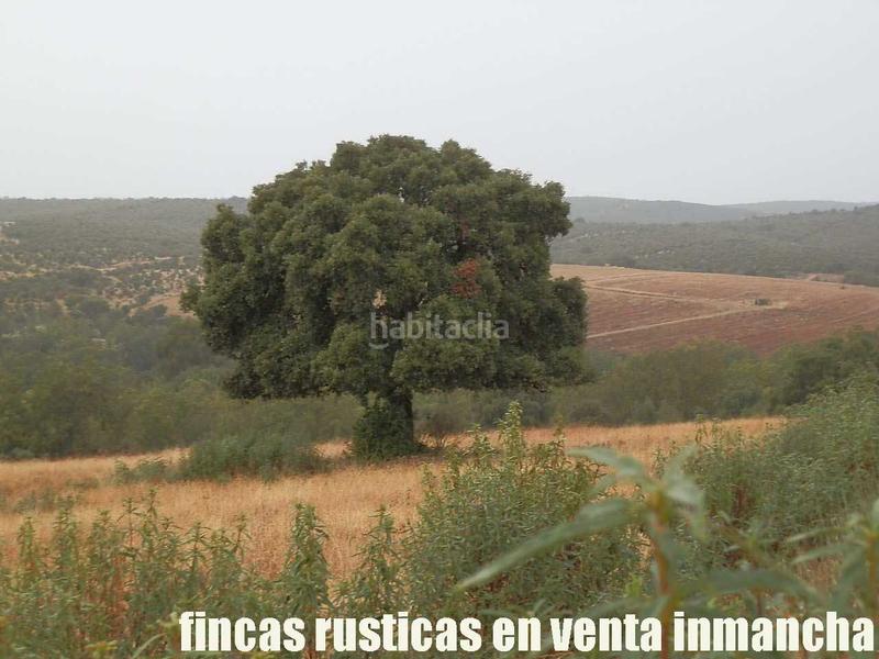 Foto f7044418-0af2-4017-8c58-5d8deefd3a70. Finca rústica a Abenójar Foto f7044418-0af2-4017-8c58-5d8deefd3a70. Finca rústica a Abenójar