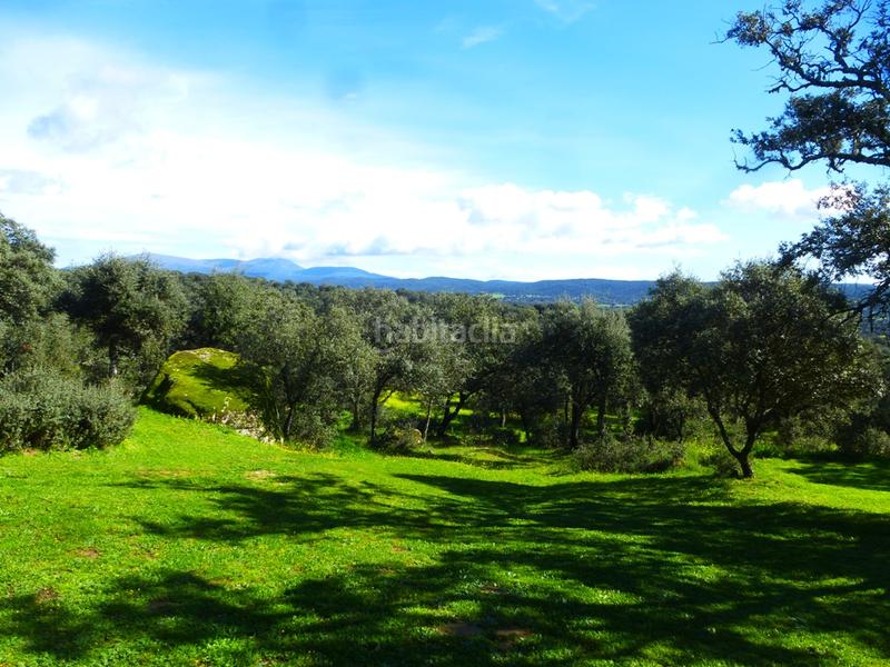 Foto b43d82da-4f2c-49a4-a396-35cd1b5d6575. Finca rústica a Mejorada Foto b43d82da-4f2c-49a4-a396-35cd1b5d6575. Finca rústica a Mejorada