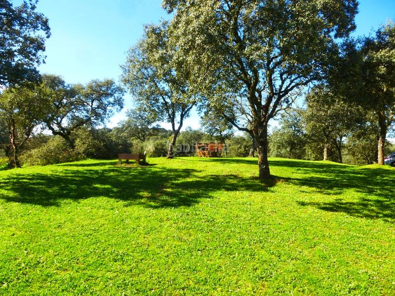 Foto e98f3a54-fefc-430e-8260-58e3f43537ad. Finca rústica a Mejorada Foto e98f3a54-fefc-430e-8260-58e3f43537ad. Finca rústica a Mejorada