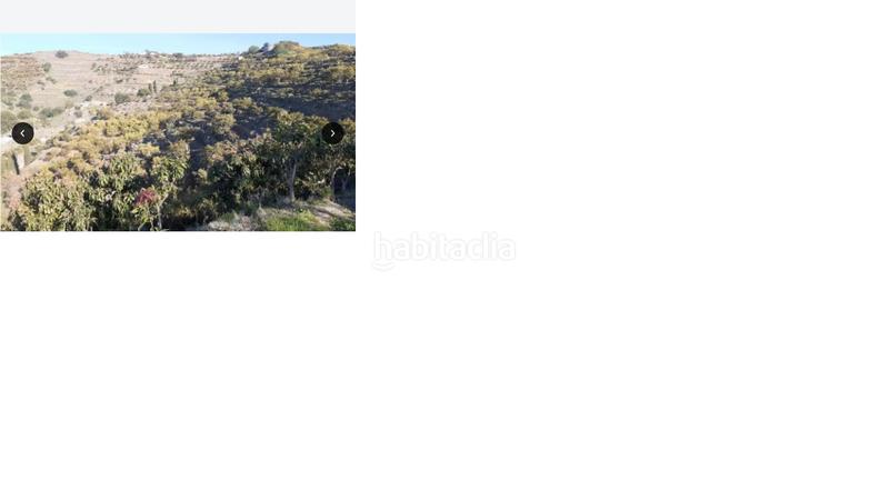 Foto 34ea651e-1d3d-4cfc-a7a9-6dd6ee4d44c9. Fondo rustico in Motril ciudad Motril Foto 34ea651e-1d3d-4cfc-a7a9-6dd6ee4d44c9. Fondo rustico in Motril ciudad Motril