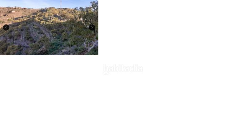 Foto e5553e7b-c3c9-4c90-8a06-f41ed761f6b1. Fondo rustico in Motril ciudad Motril Foto e5553e7b-c3c9-4c90-8a06-f41ed761f6b1. Fondo rustico in Motril ciudad Motril