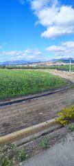 Rural plot in Motril ciudad. Finca de 30 marjales para invernadero , muy buena zona Rural plot in Motril ciudad. Finca de 30 marjales para invernadero , muy buena zona