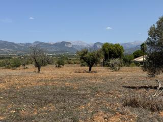 Terreny residencial a Santa Eugènia. Bonito terreno en santa eugenia con posibilidad de construir una Terreny residencial a Santa Eugènia. Bonito terreno en santa eugenia con posibilidad de construir una