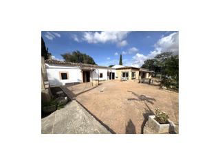 Location Mas à Consell. Casa con jardín y piscina en consell para alquiler larga duració Location Mas à Consell. Casa con jardín y piscina en consell para alquiler larga duració