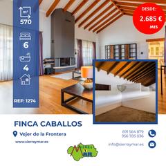 Finca rústica a Vejer. Finca con casa en vejer (costa) Finca rústica a Vejer. Finca con casa en vejer (costa)