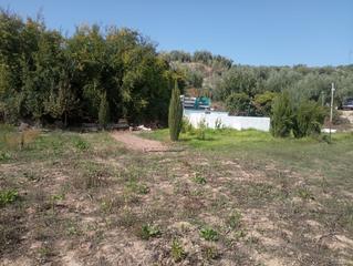 Masia a N/a. Huerta con casa en rivera de vadohondo Masia a N/a. Huerta con casa en rivera de vadohondo