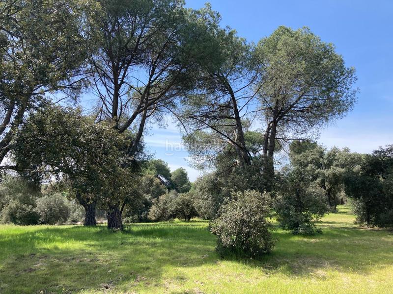 Foto 347b8d94-d9f0-4dde-8819-0af7b7bacdba. Terreny residencial a Monteclaro Pozuelo de Alarcón Foto 347b8d94-d9f0-4dde-8819-0af7b7bacdba. Terreny residencial a Monteclaro Pozuelo de Alarcón