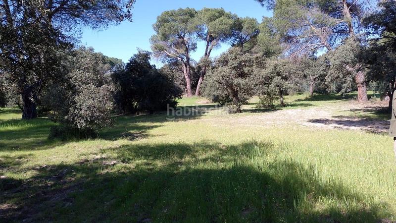 Foto 936f2fe9-3042-4821-9e86-03a5be8f0d2c. Terreny residencial a Monteclaro Pozuelo de Alarcón Foto 936f2fe9-3042-4821-9e86-03a5be8f0d2c. Terreny residencial a Monteclaro Pozuelo de Alarcón