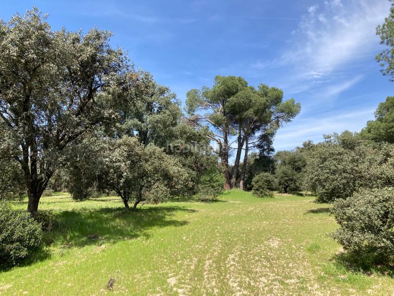 Foto 93be6c93-24c4-4a93-9449-43ef5da2bd51. Terreny residencial a Monteclaro Pozuelo de Alarcón Foto 93be6c93-24c4-4a93-9449-43ef5da2bd51. Terreny residencial a Monteclaro Pozuelo de Alarcón