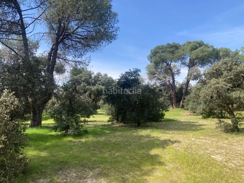 Foto edbf87b2-300b-4fbe-86d3-8495dd2e3eac. Terreny residencial a Monteclaro Pozuelo de Alarcón Foto edbf87b2-300b-4fbe-86d3-8495dd2e3eac. Terreny residencial a Monteclaro Pozuelo de Alarcón