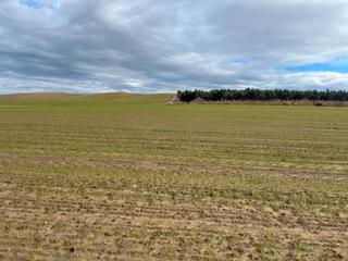 Fondo rustico  Avenida villa de otura. Finca en otura, zona de la carrera de la malaha Fondo rustico  Avenida villa de otura. Finca en otura, zona de la carrera de la malaha