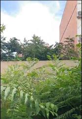 Piso en La Creu Coberta. Bajo vivienda en zona ave san vicente Piso en La Creu Coberta. Bajo vivienda en zona ave san vicente