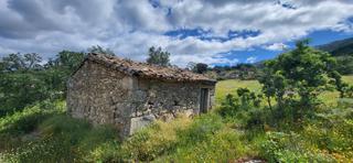 Finca rústica Carretera cabezabellosa. Venta de finca zona villar de plasencia Finca rústica Carretera cabezabellosa. Venta de finca zona villar de plasencia