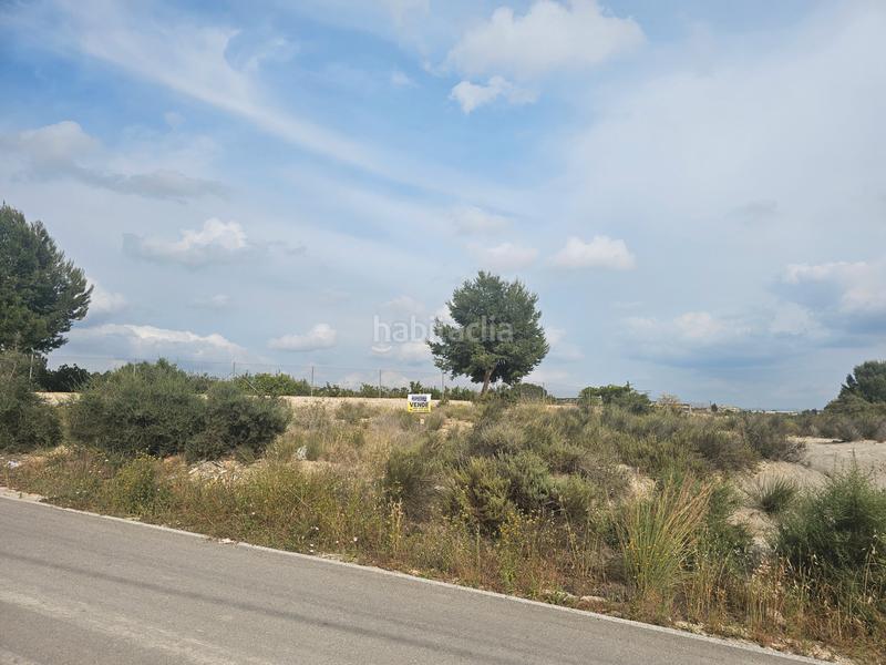 Foto e1cc2c0a-7171-489c-a4e8-43a57c0061de. Fondo rustico in Lorquí Foto e1cc2c0a-7171-489c-a4e8-43a57c0061de. Fondo rustico in Lorquí