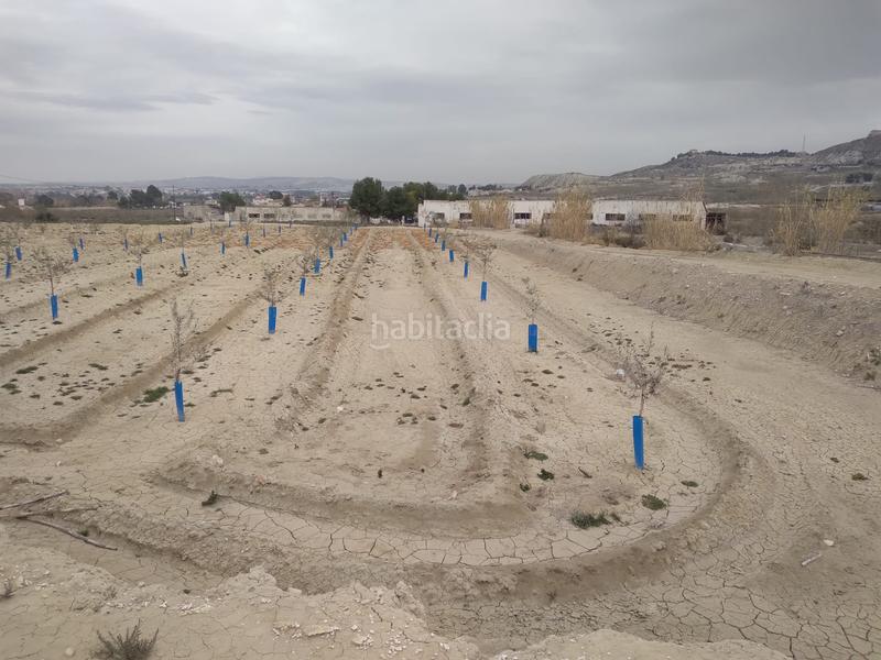 Foto 64c74109-6a7f-49a5-a05a-802ac2adec5b. Propriété dans Alguazas Foto 64c74109-6a7f-49a5-a05a-802ac2adec5b. Propriété dans Alguazas