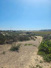 Fondo rustico in Alguazas. Finca de 8 tahullas en venta en los cataguas Fondo rustico in Alguazas. Finca de 8 tahullas en venta en los cataguas