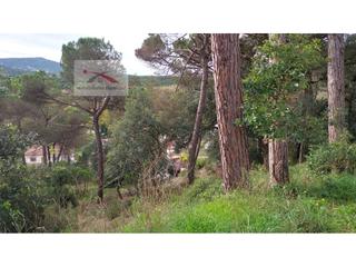 Terreny residencial a Carrer del puig colomer 116. Urb. terrafortuna sol todo el día y muy cerca de la entrada Terreny residencial a Carrer del puig colomer 116. Urb. terrafortuna sol todo el día y muy cerca de la entrada