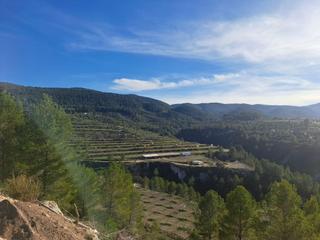 Propriété à Penàguila. Impresionante finca agrícola con posibilidad de construir en pen Propriété à Penàguila. Impresionante finca agrícola con posibilidad de construir en pen