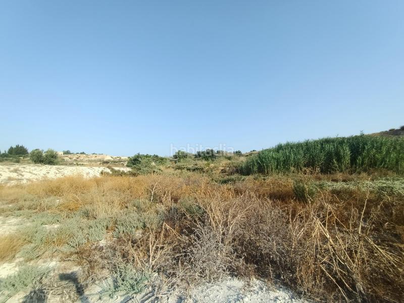 Foto 4612947b-d4da-40e5-ab80-6578f0f51b58. Terreno residenziale in Alguazas Foto 4612947b-d4da-40e5-ab80-6578f0f51b58. Terreno residenziale in Alguazas