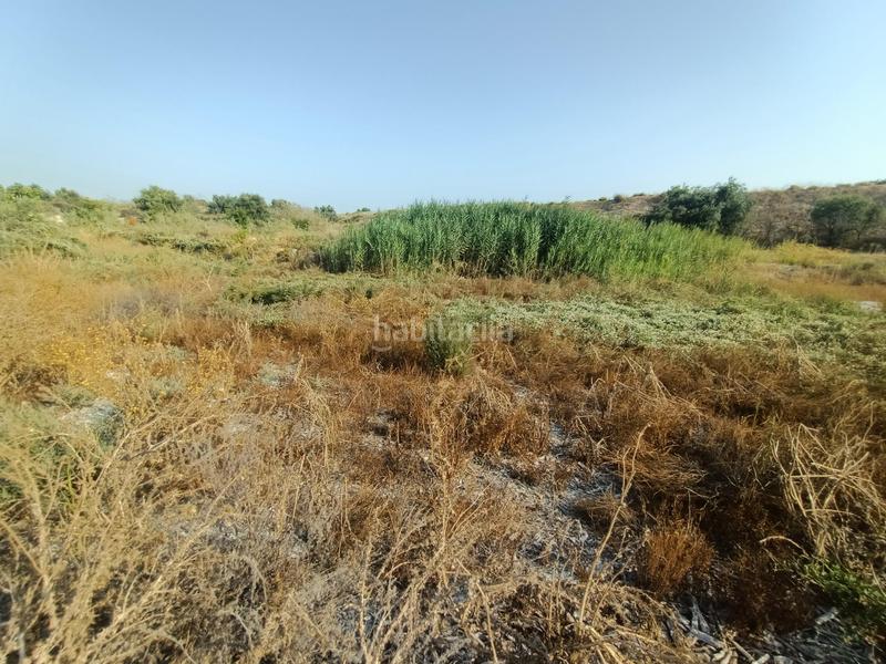 Foto d04bddff-9645-40fc-a18a-cc06924e8f9d. Terreno residenziale in Alguazas Foto d04bddff-9645-40fc-a18a-cc06924e8f9d. Terreno residenziale in Alguazas