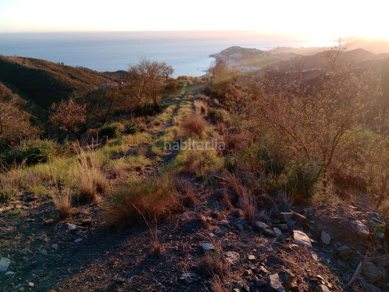 Foto 5d5ed095-5745-47ab-b694-a6da893577f3. Finca rústica a Ítrabo Foto 5d5ed095-5745-47ab-b694-a6da893577f3. Finca rústica a Ítrabo