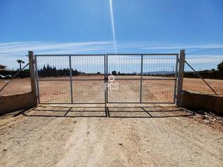 Rent Rural plot in Canal del trasvase s/n. Terreno en alquiler en totana Rent Rural plot in Canal del trasvase s/n. Terreno en alquiler en totana