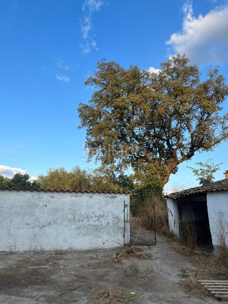 Foto 0f766a1f-9eeb-464b-8e62-60a0a826e0f6. Casa amb aparcament a Monesterio Foto 0f766a1f-9eeb-464b-8e62-60a0a826e0f6. Casa amb aparcament a Monesterio