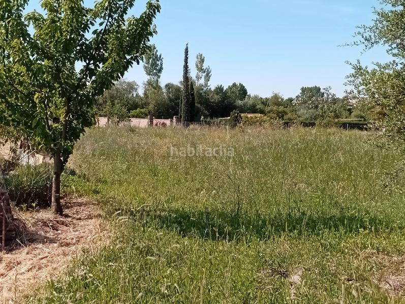 Foto 978c77a6-bbde-43b2-91bf-0ed44c707e7b. Finca rústica a ex-384 360 a Madrigal de la Vera Foto 978c77a6-bbde-43b2-91bf-0ed44c707e7b. Finca rústica a ex-384 360 a Madrigal de la Vera