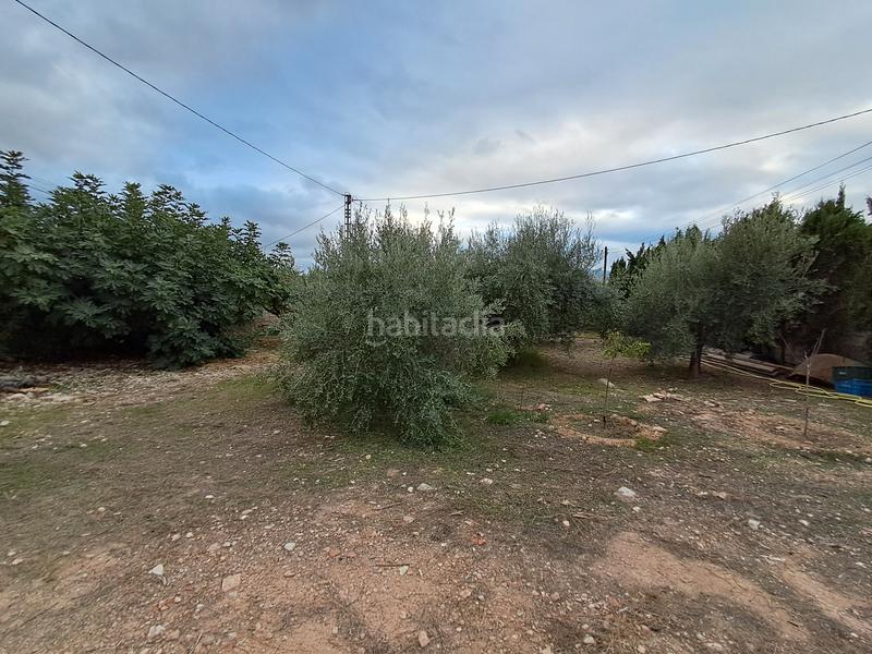 Foto 4c35e651-d6c4-4945-b819-31a7f4fedc61. Chalet with fireplace parking pool in Pedanías Oeste Aspe Foto 4c35e651-d6c4-4945-b819-31a7f4fedc61. Chalet with fireplace parking pool in Pedanías Oeste Aspe