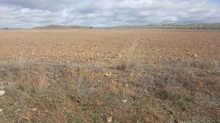 Finca rústica a San Antón. Finca de 300 hectareas yecla-murcia Finca rústica a San Antón. Finca de 300 hectareas yecla-murcia