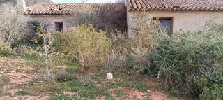 Masia a Campo Nubla. Casa de campo Masia a Campo Nubla. Casa de campo