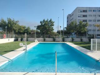 Rent Flat  Calle jose ignacio pineda. Se alquila piso a estrenar en zona chapin con garaje y piscina Rent Flat  Calle jose ignacio pineda. Se alquila piso a estrenar en zona chapin con garaje y piscina